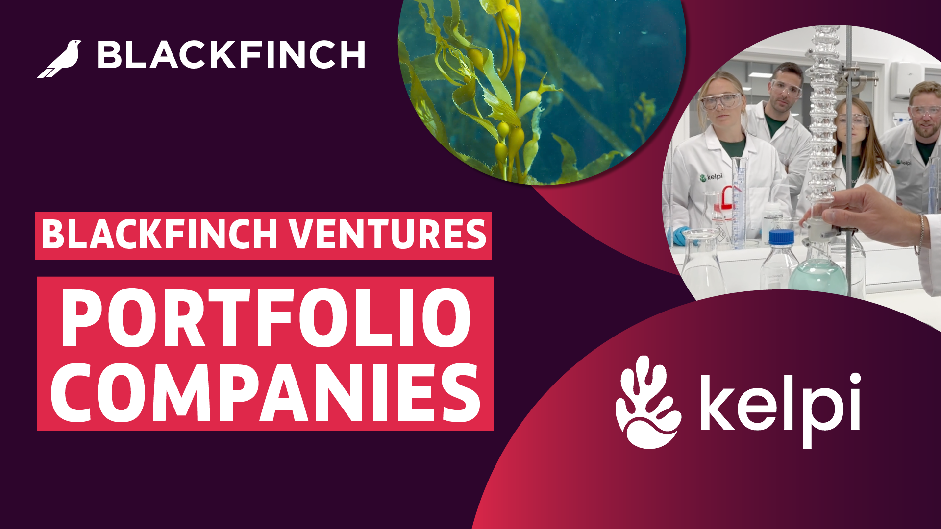 Blackfinch Ventures Portfolio Companies - Kelpi.png